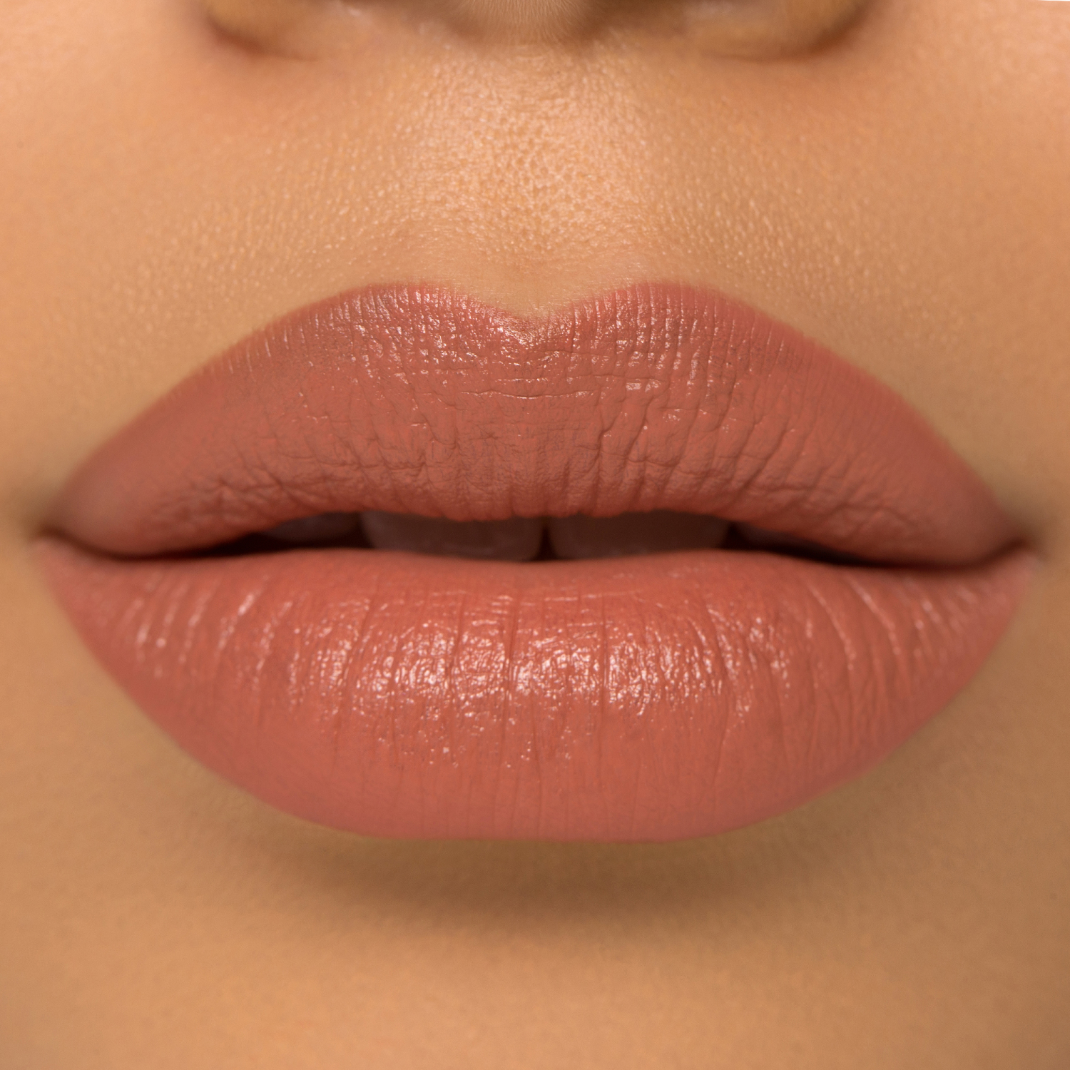 I NEED A NUDE LIPSTICK- (PERFILADOR DE LABIOS)